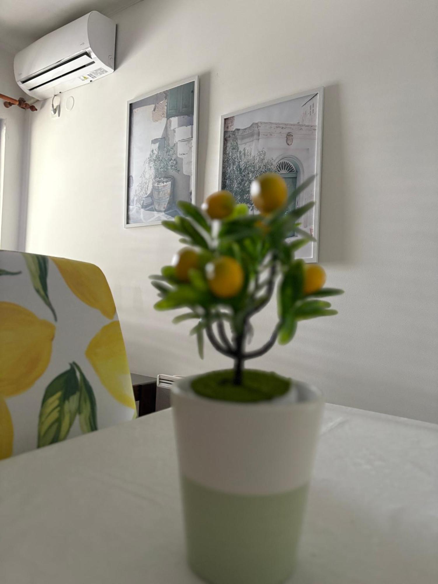 Apartments Herceg Novi Kamer foto
